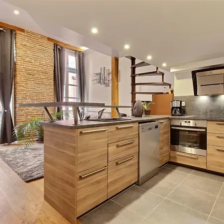 Apartment Duplex Place Du Capitole